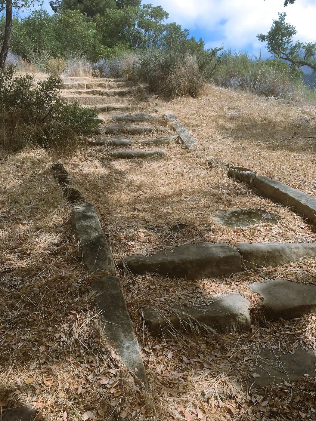 Before reconstruction of stairs down south slope of Island View Garden