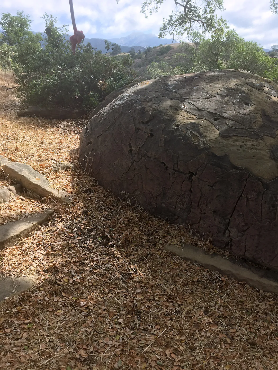Before reconstruction of stairs down south slope of Island View Garden