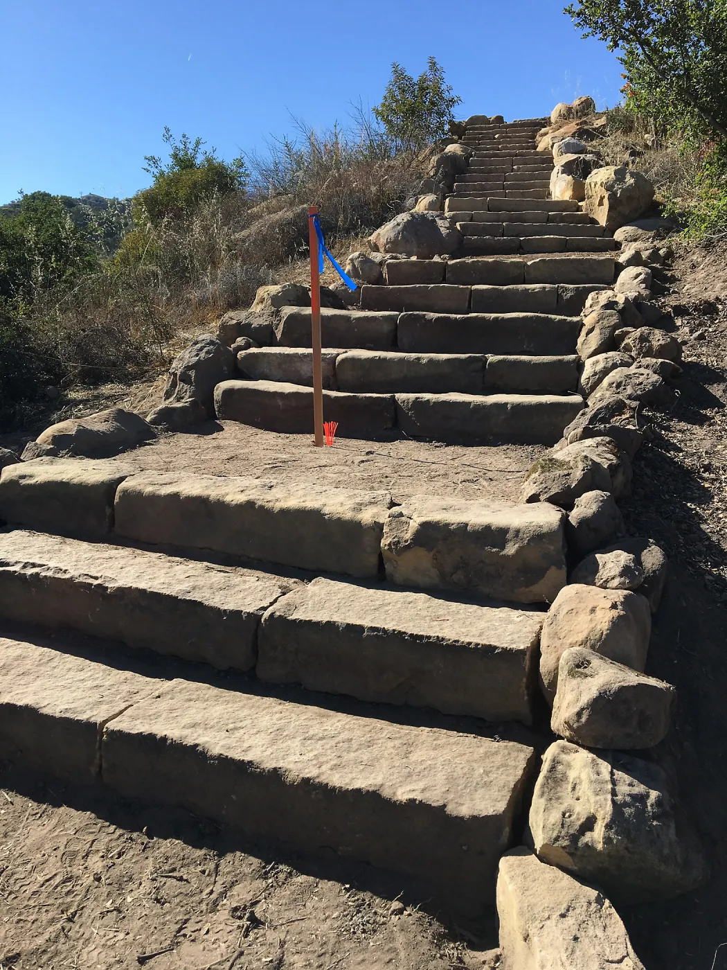 Reconstructed stairs down south slope of Island View Garden