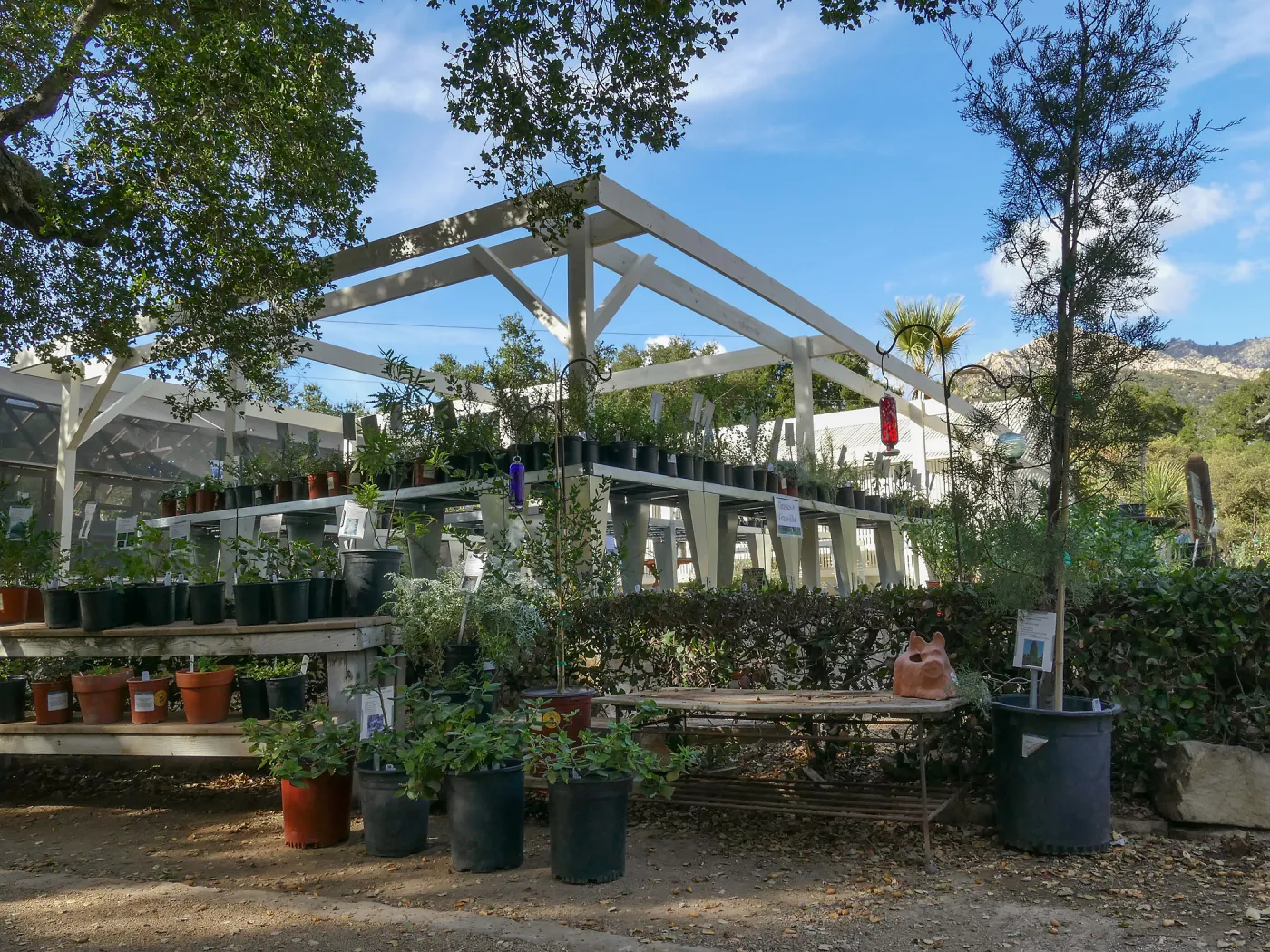 New shade structure at Garden Growers Nursery