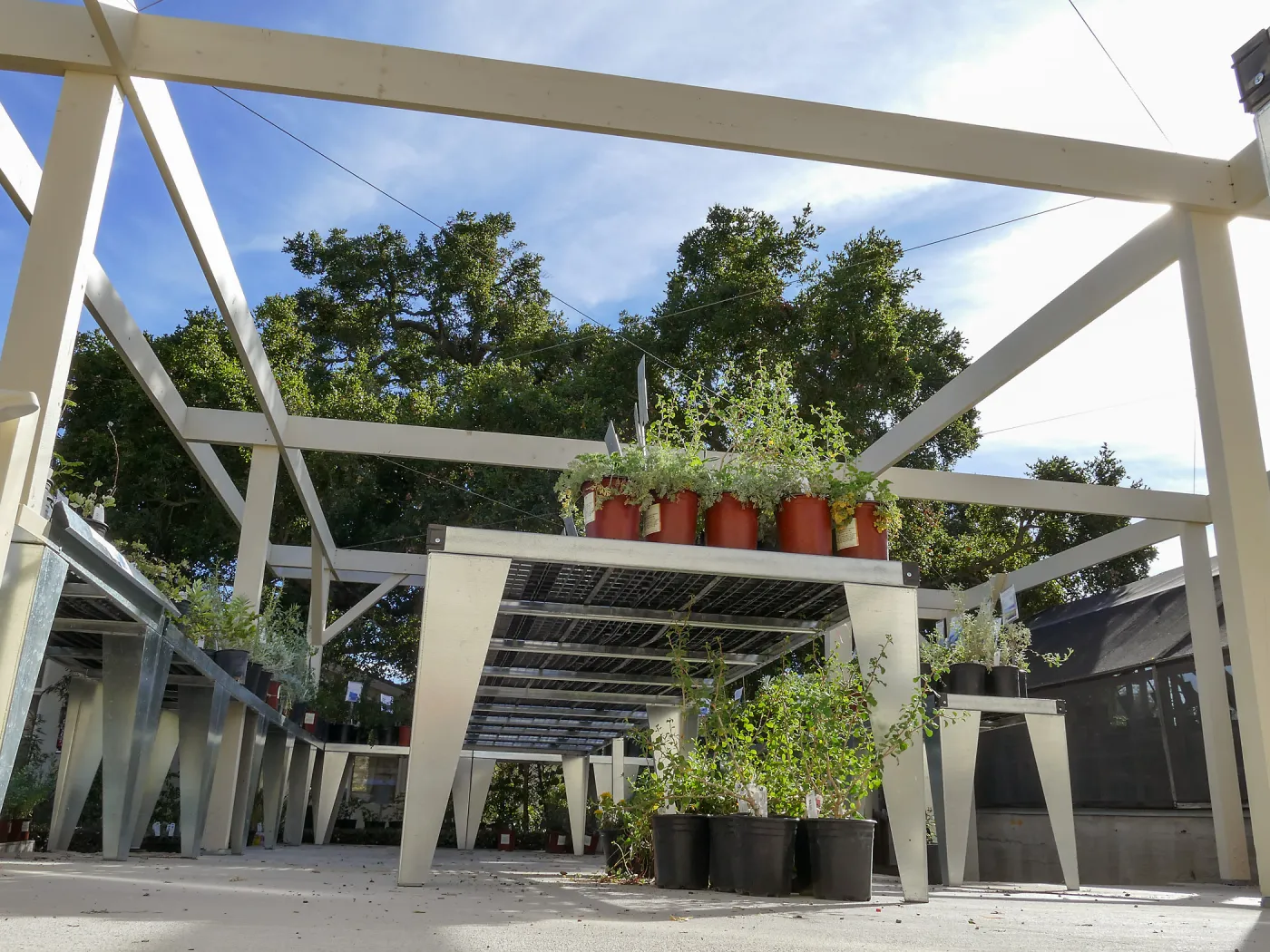 New shade structure at Garden Growers Nursery