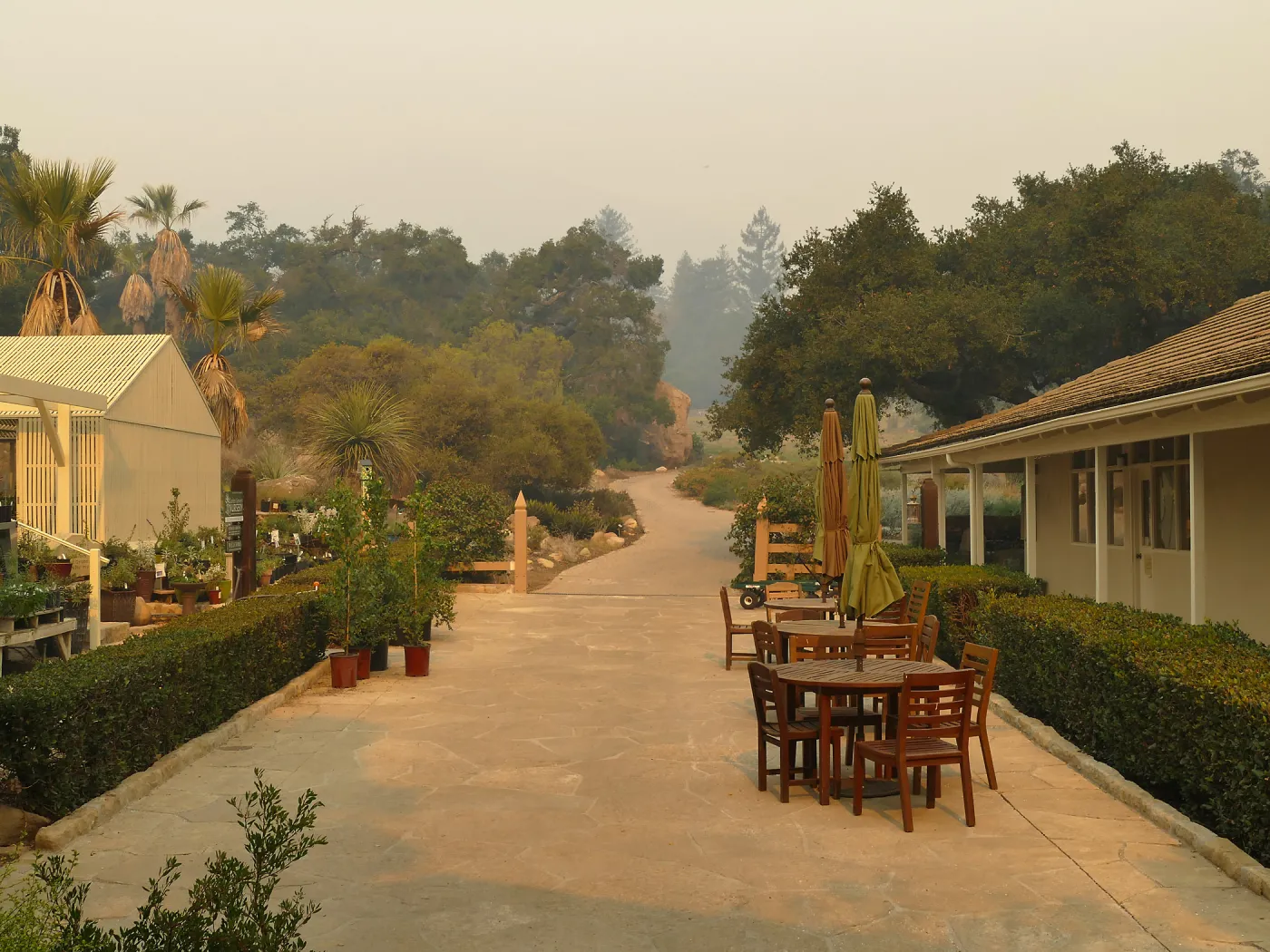 Courtyard in smoke from Thomas Fire