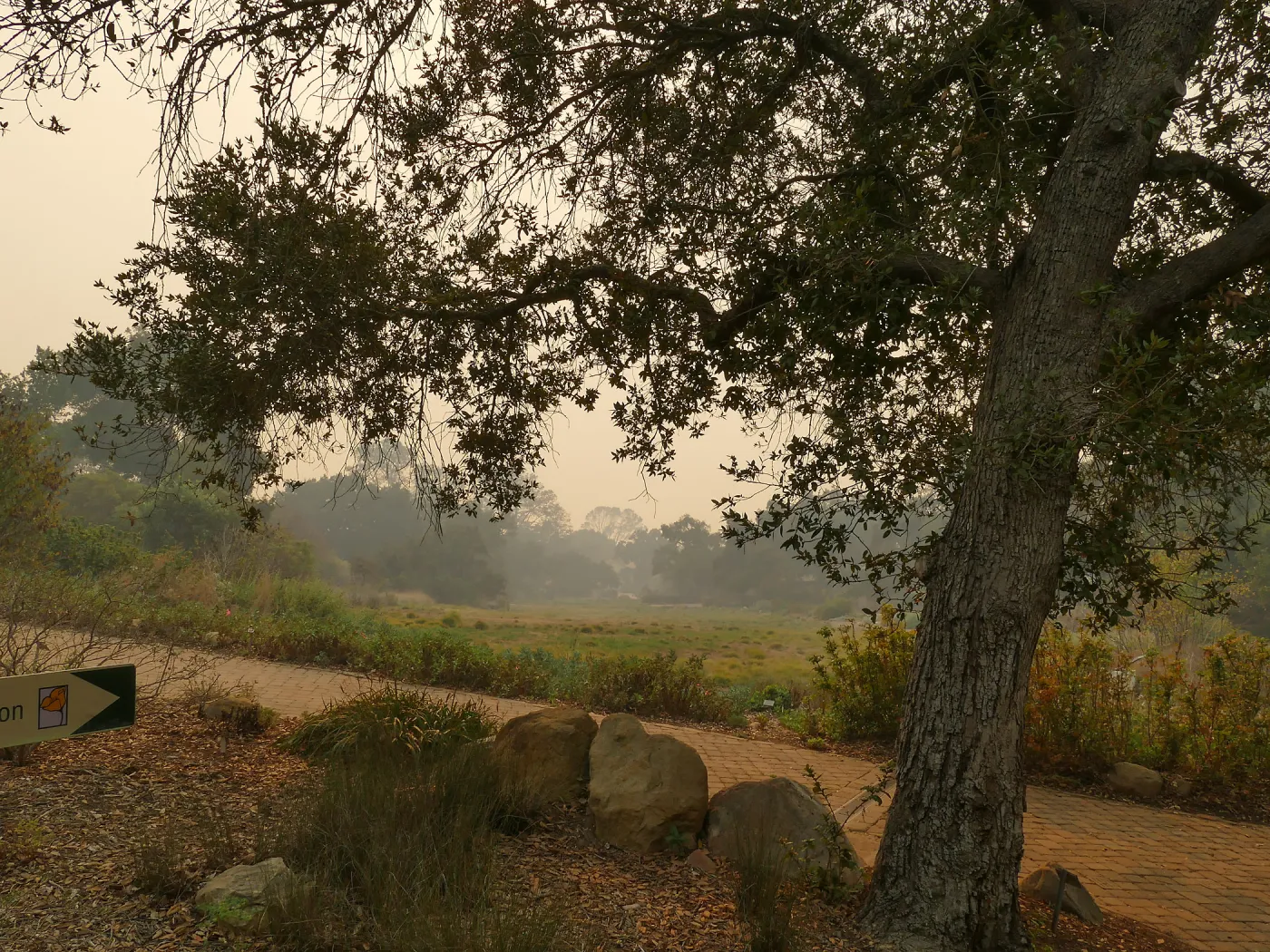 Looking south from top of Meadow through smoke from Thomas Fire
