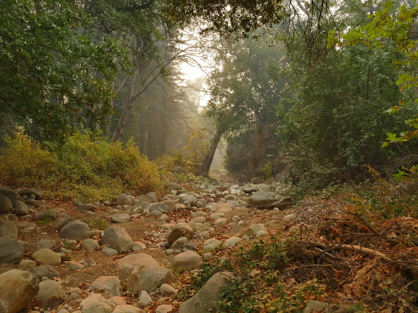 Mission Creek in smoke from Thomas Fire