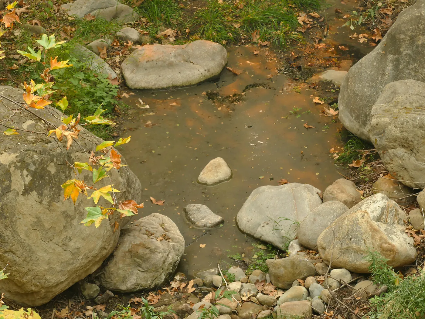 Ash from Thomas Fire on pool below Dam in Mission Creek