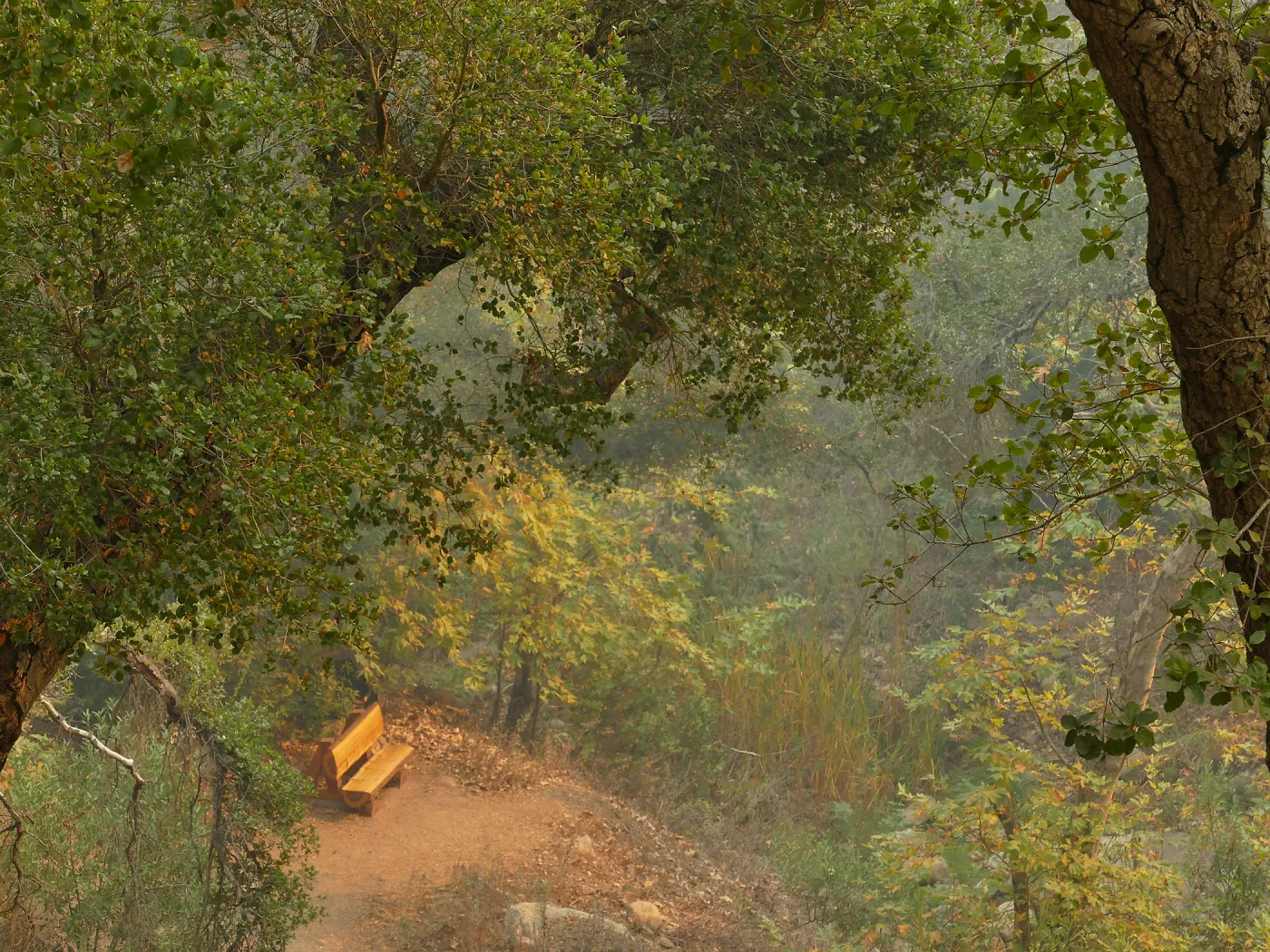 Audrey's Place bench in smoke from Thomas Fire