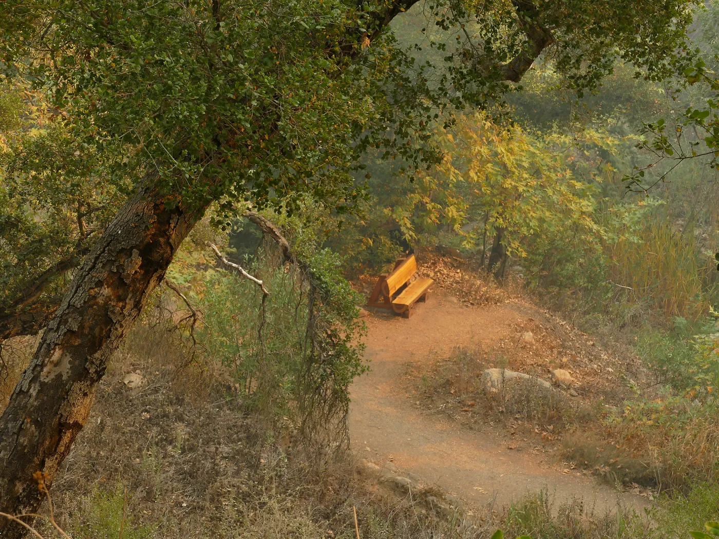 Audrey's Place bench in smoke from Thomas Fire