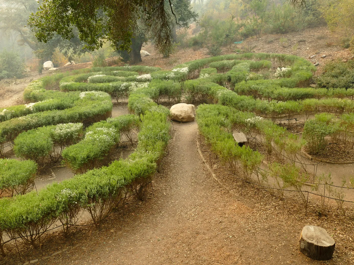 Centennial Maze in smoke from Thomas Fire