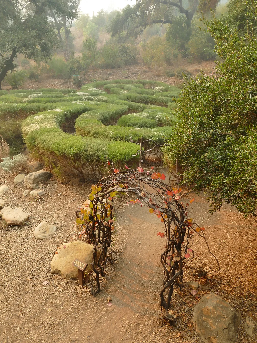 Centennial Maze in smoke from Thomas Fire