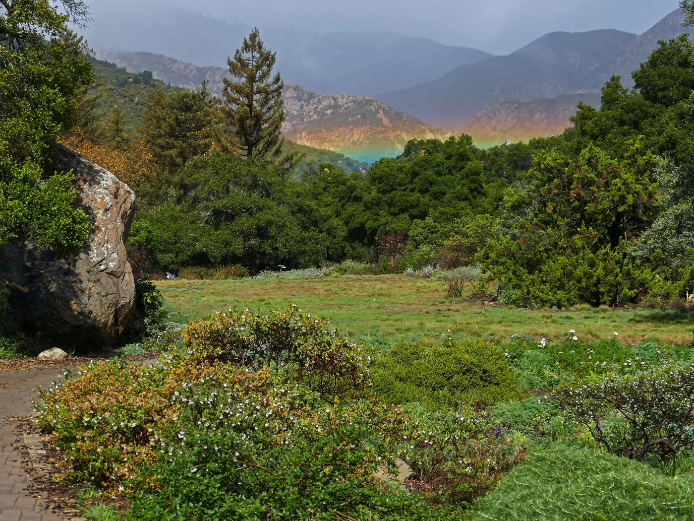 Low rainbow over the Meadow