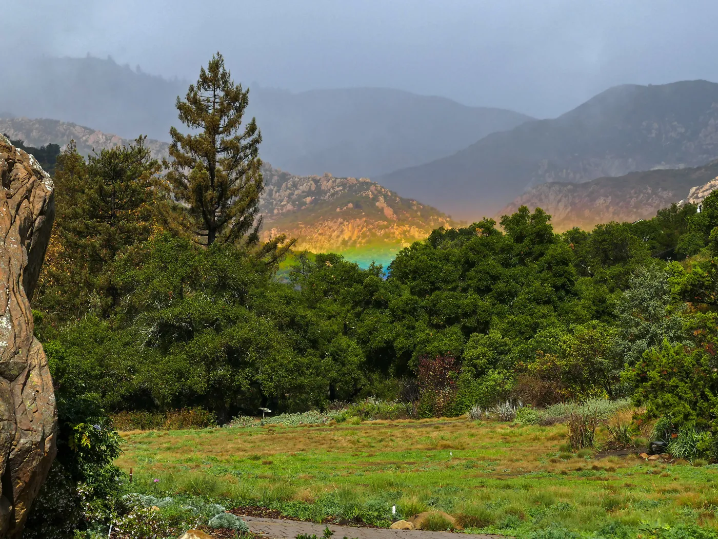 Low rainbow over the Meadow