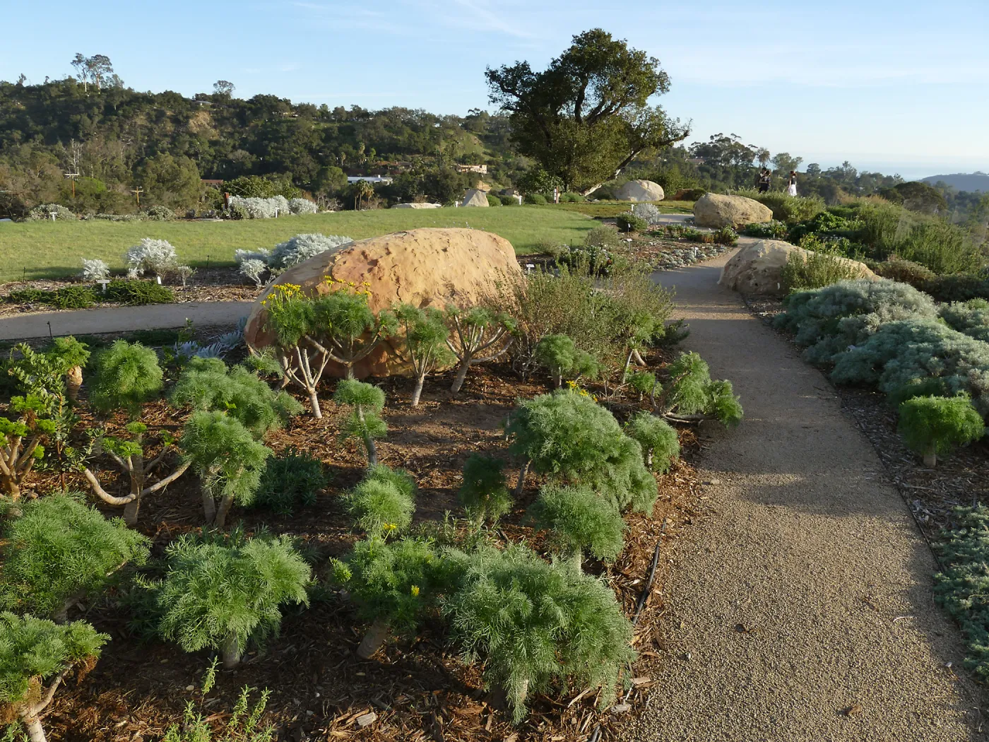 Island View Garden