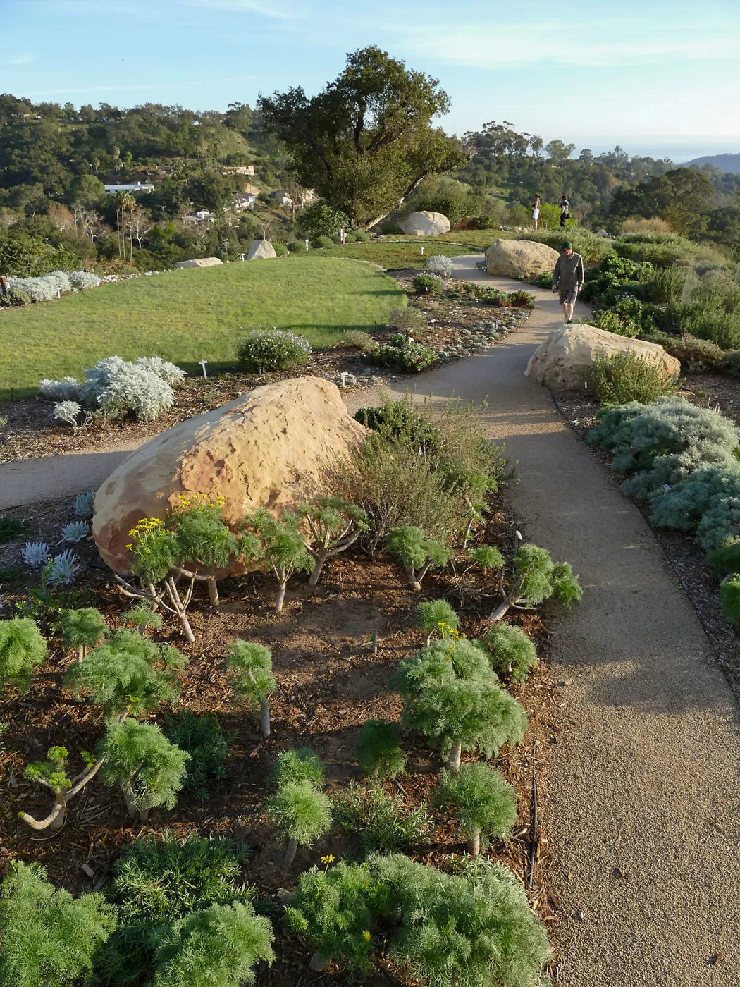 Island View Garden
