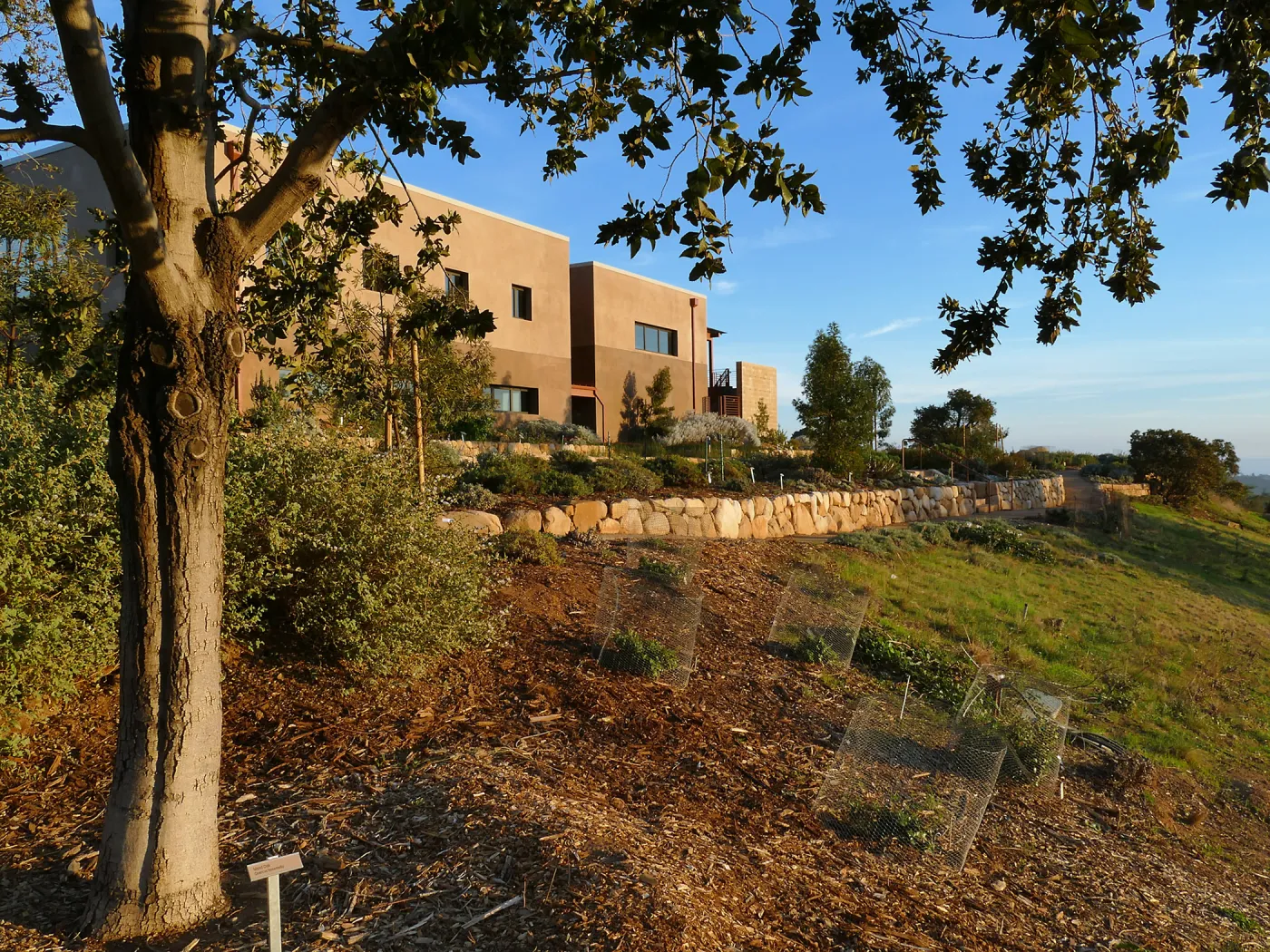 Island View Garden and west face of Pritzlaff Conservation Center