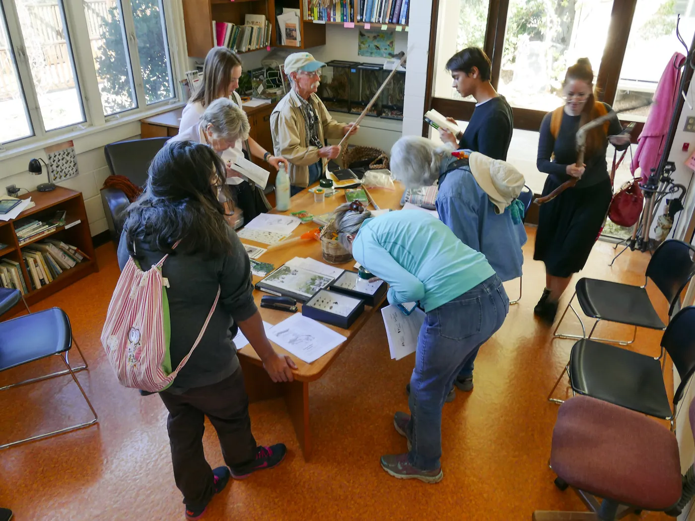 Nature Track Entomology Training
