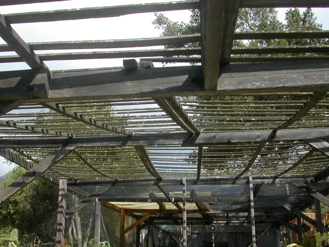 Arbor Terrace looking north