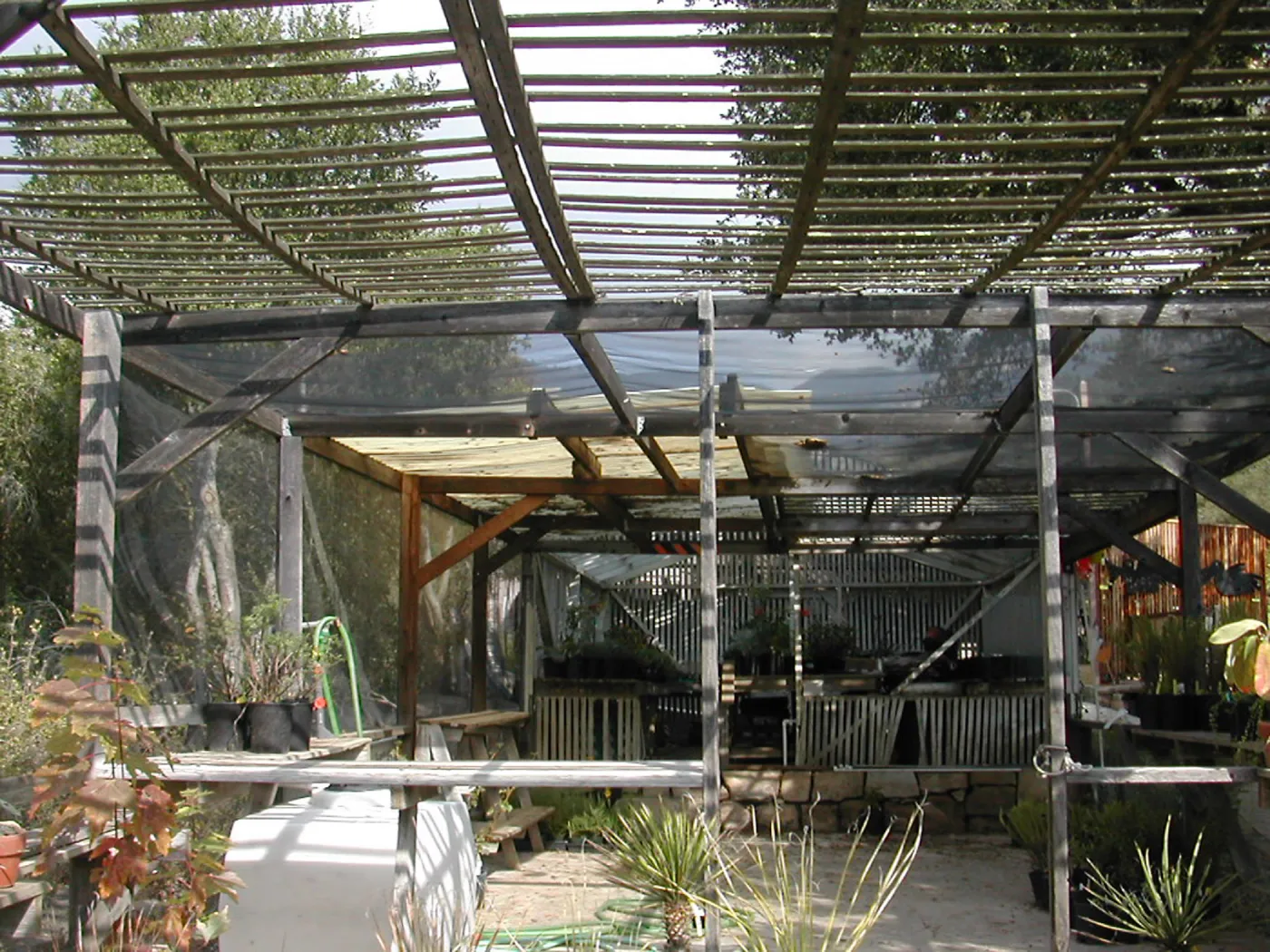 Arbor Terrace looking north