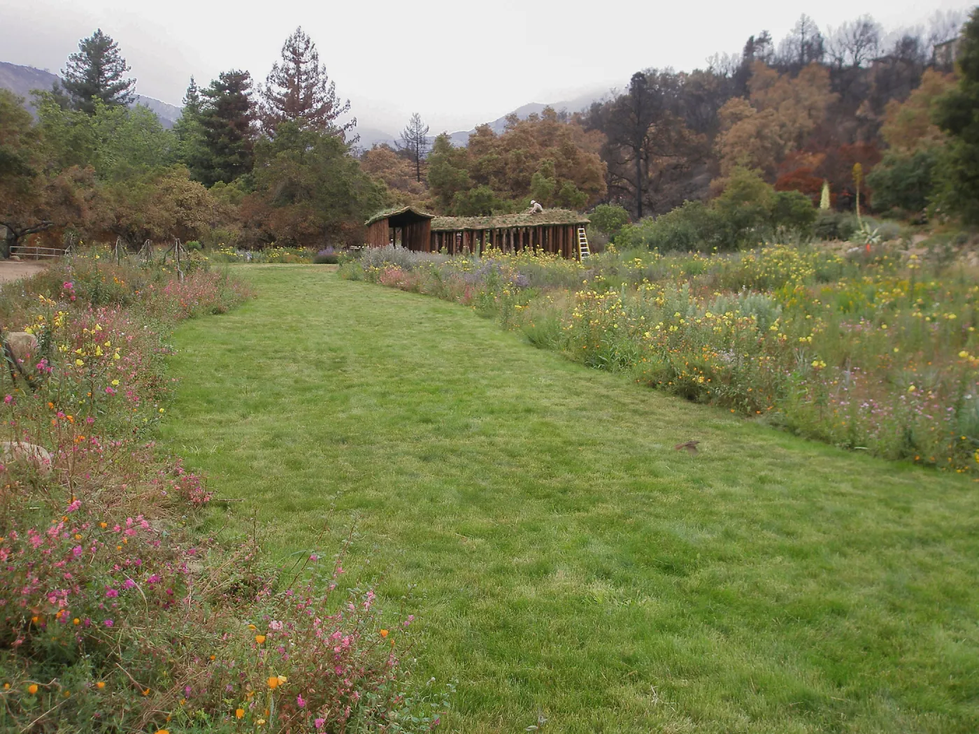 Herb Parker's â€˜Haven' labyrinth installation