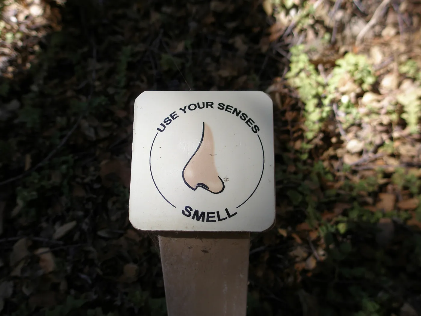 â€œUse Your Senses: Smellâ€ sign