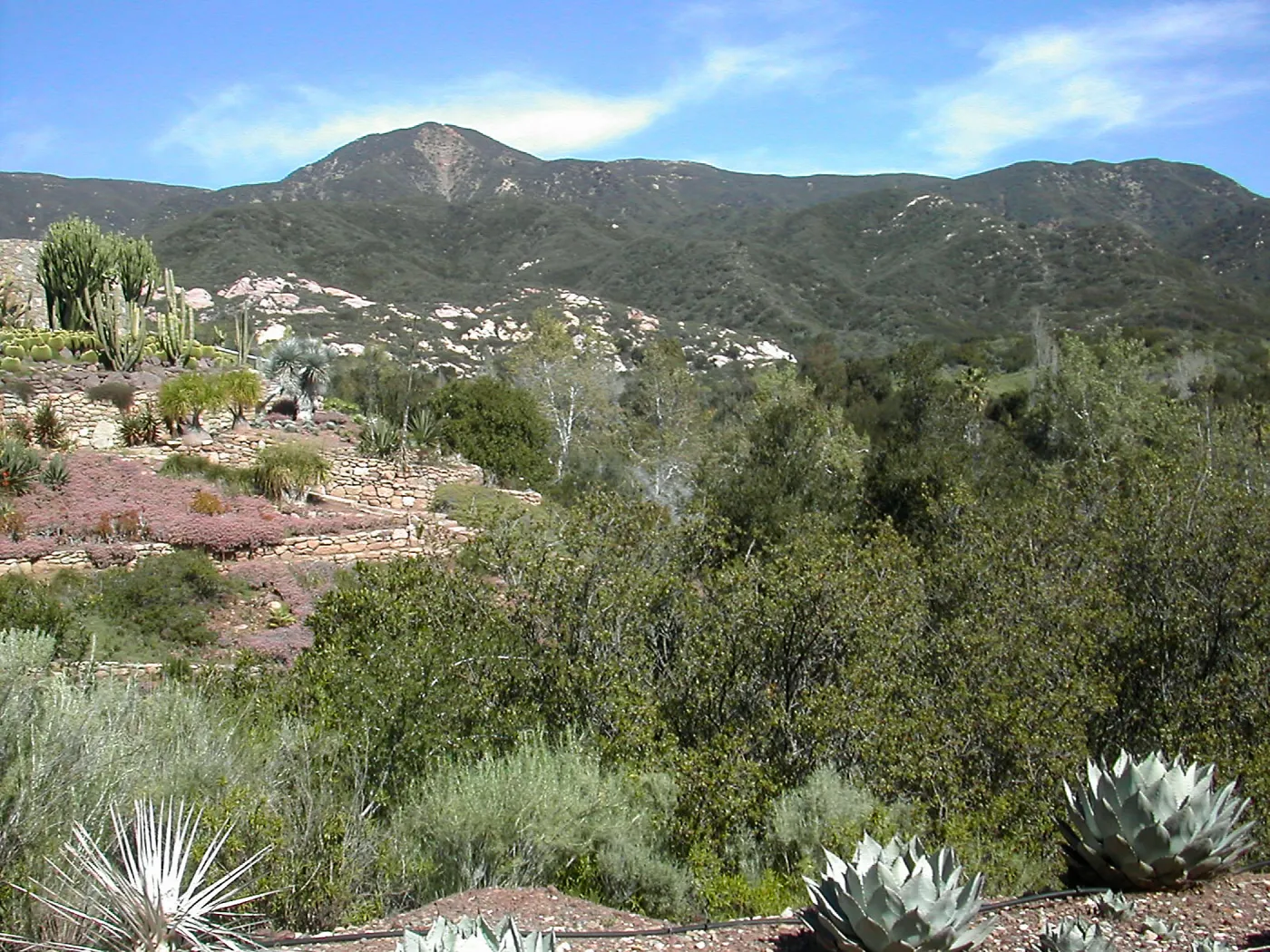 Taft Gardens