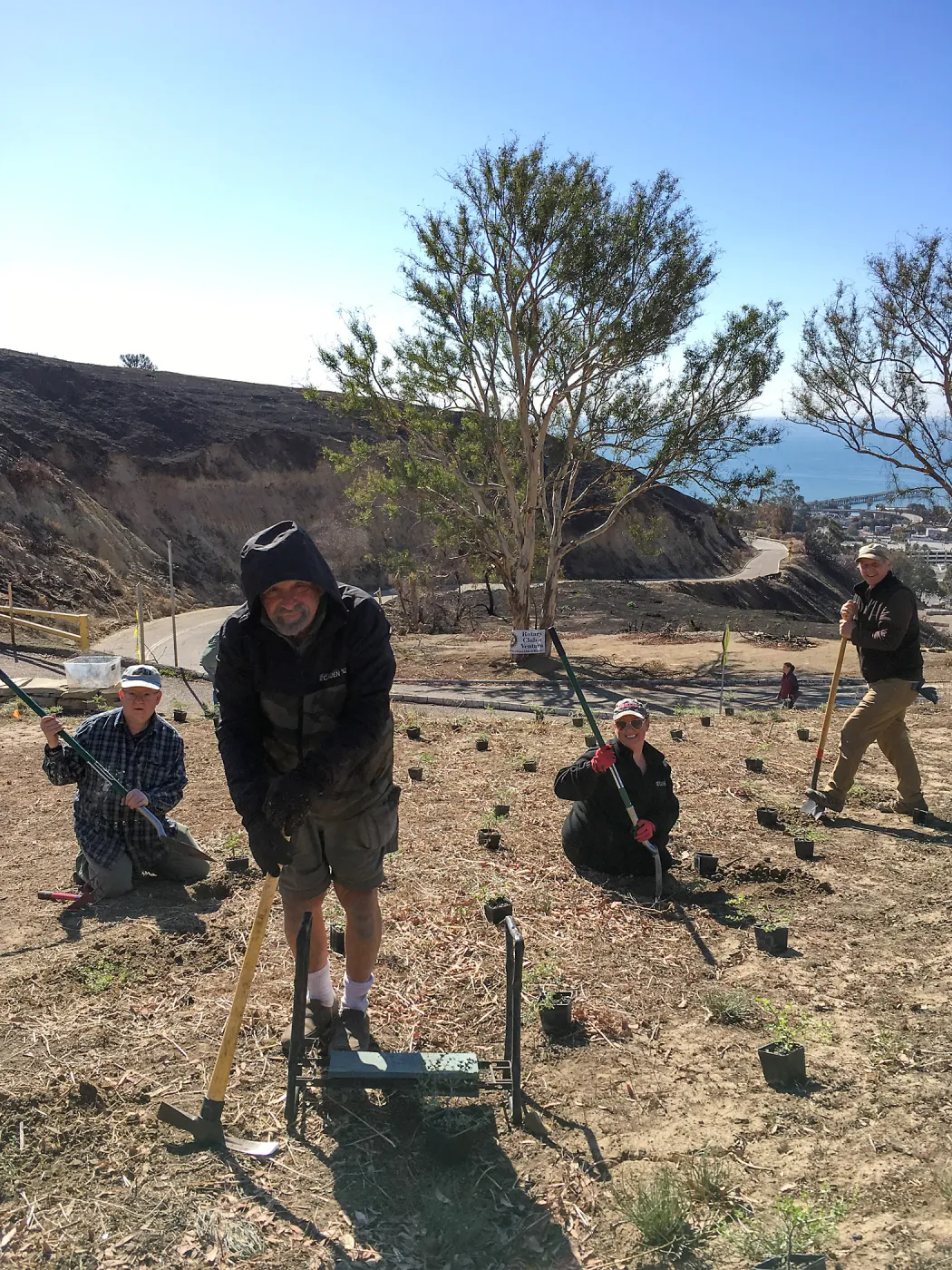 Martin Luther King Day of Service at the Ventura Botanical Garden