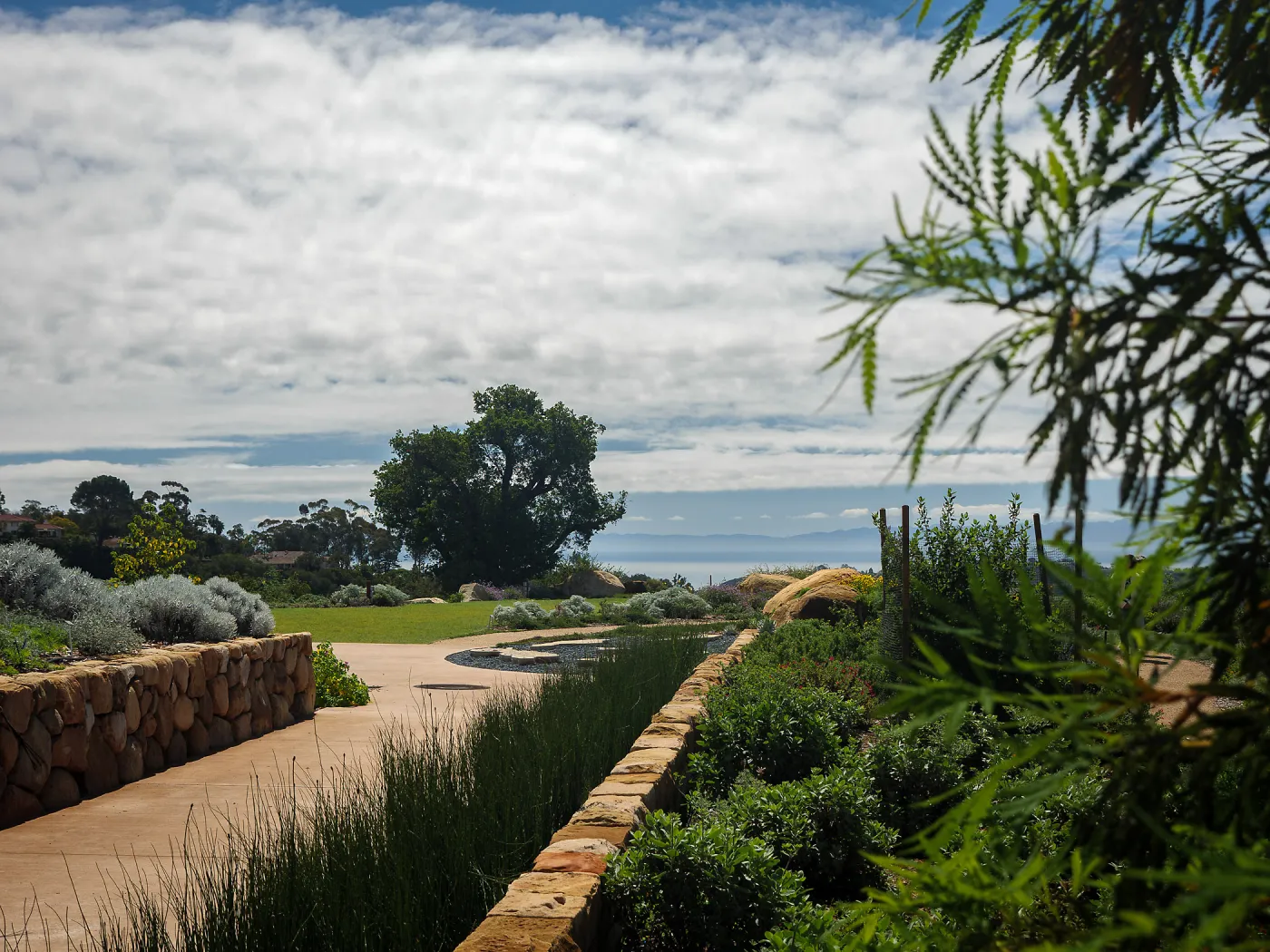 Island View Garden looking south