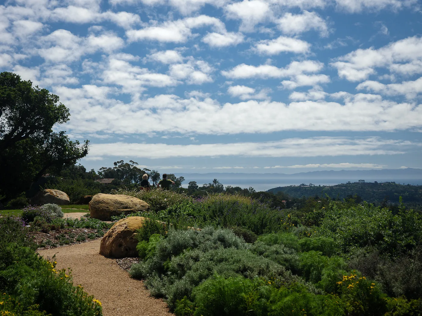 Island View Garden and Channel Islands