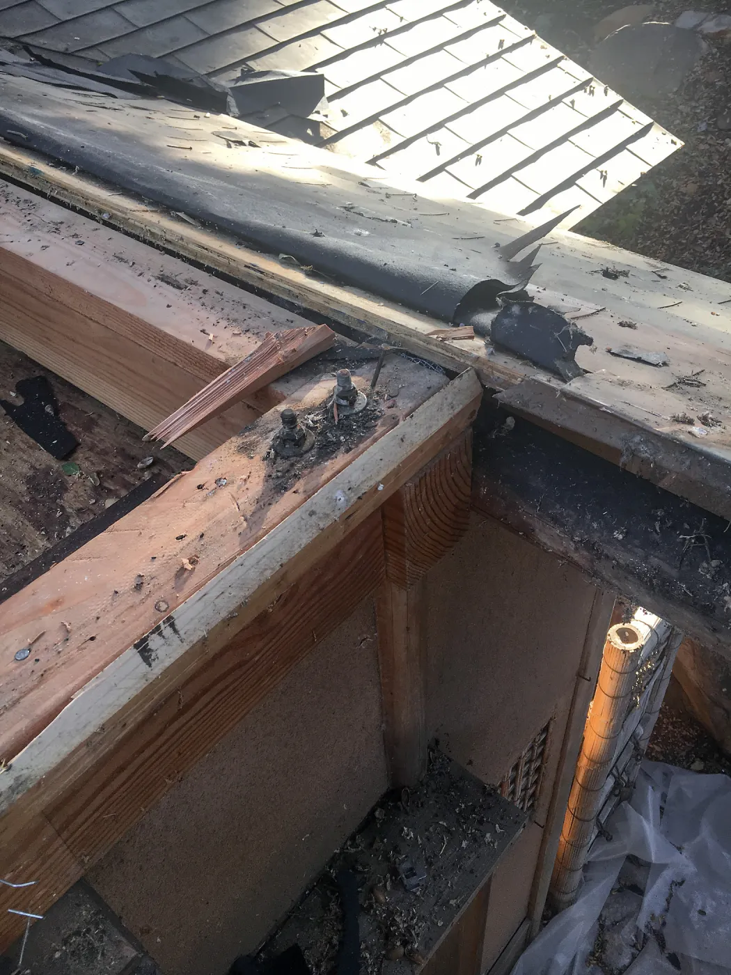 Teahouse & Garden Improvements 2018