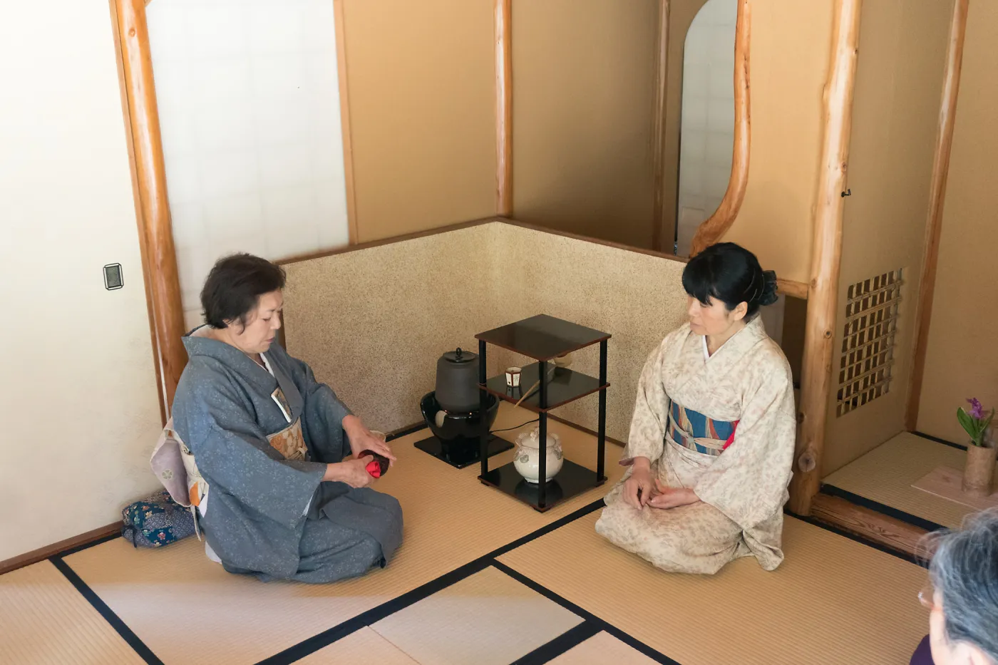 Tea Ceremony at ShinKanAn Teahouse