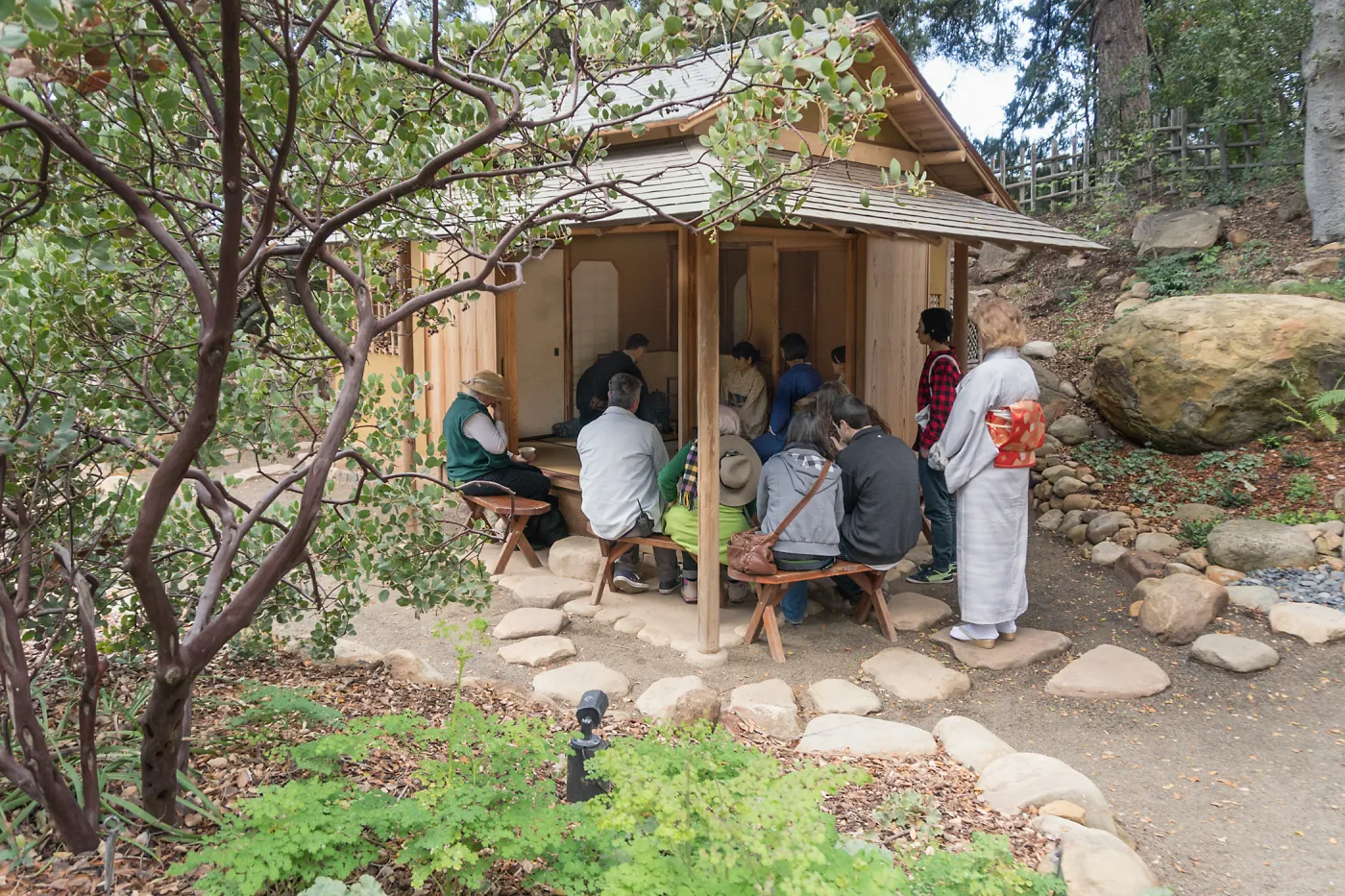 Tea Ceremony at ShinKanAn Teahouse