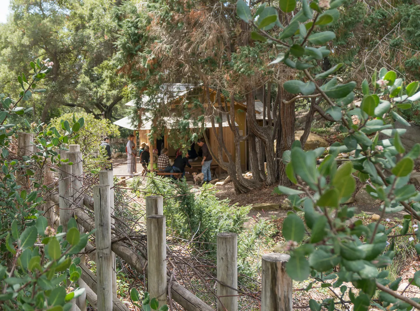Tea Ceremony at ShinKanAn Teahouse