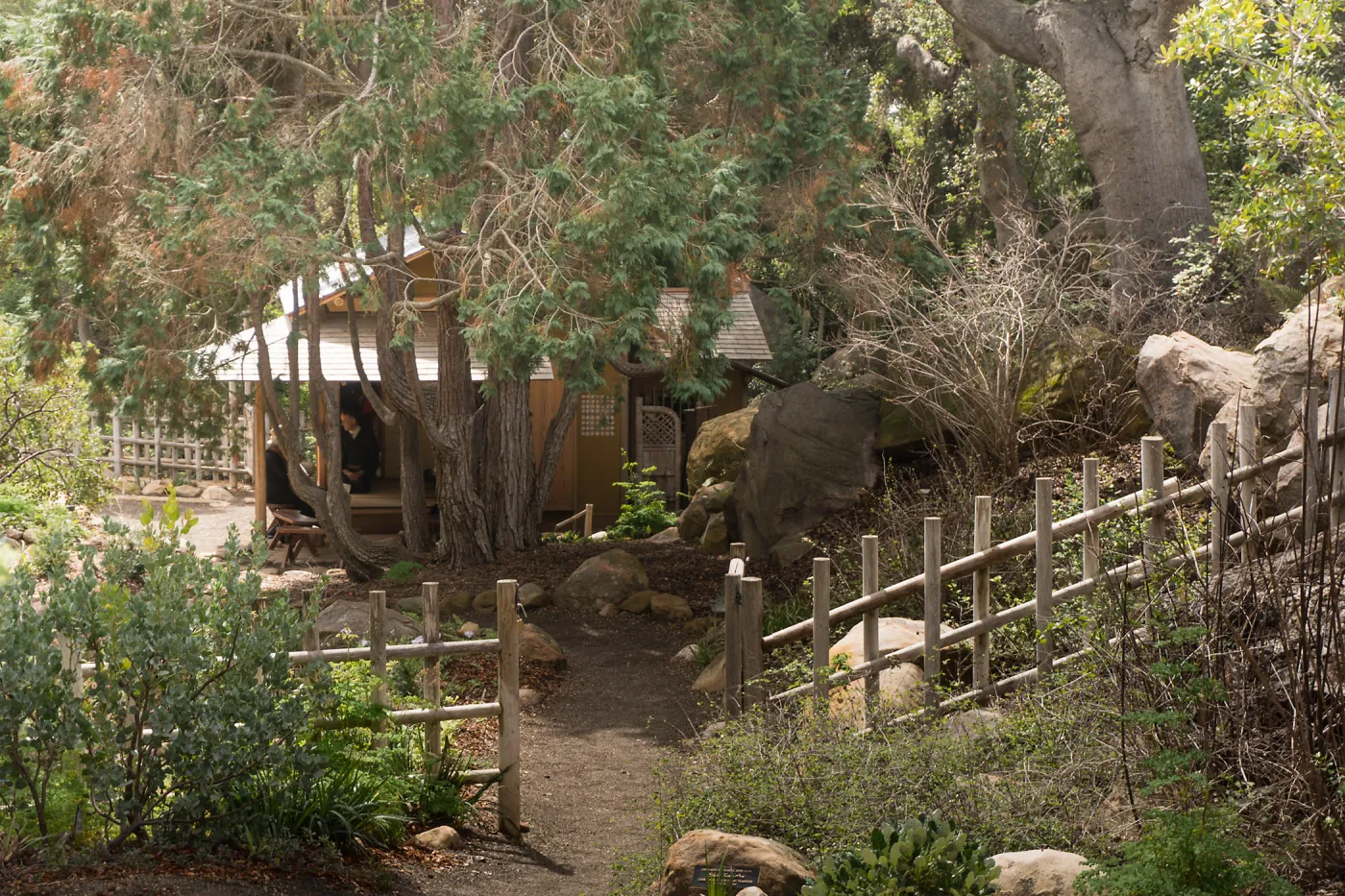Tea Ceremony at ShinKanAn Teahouse