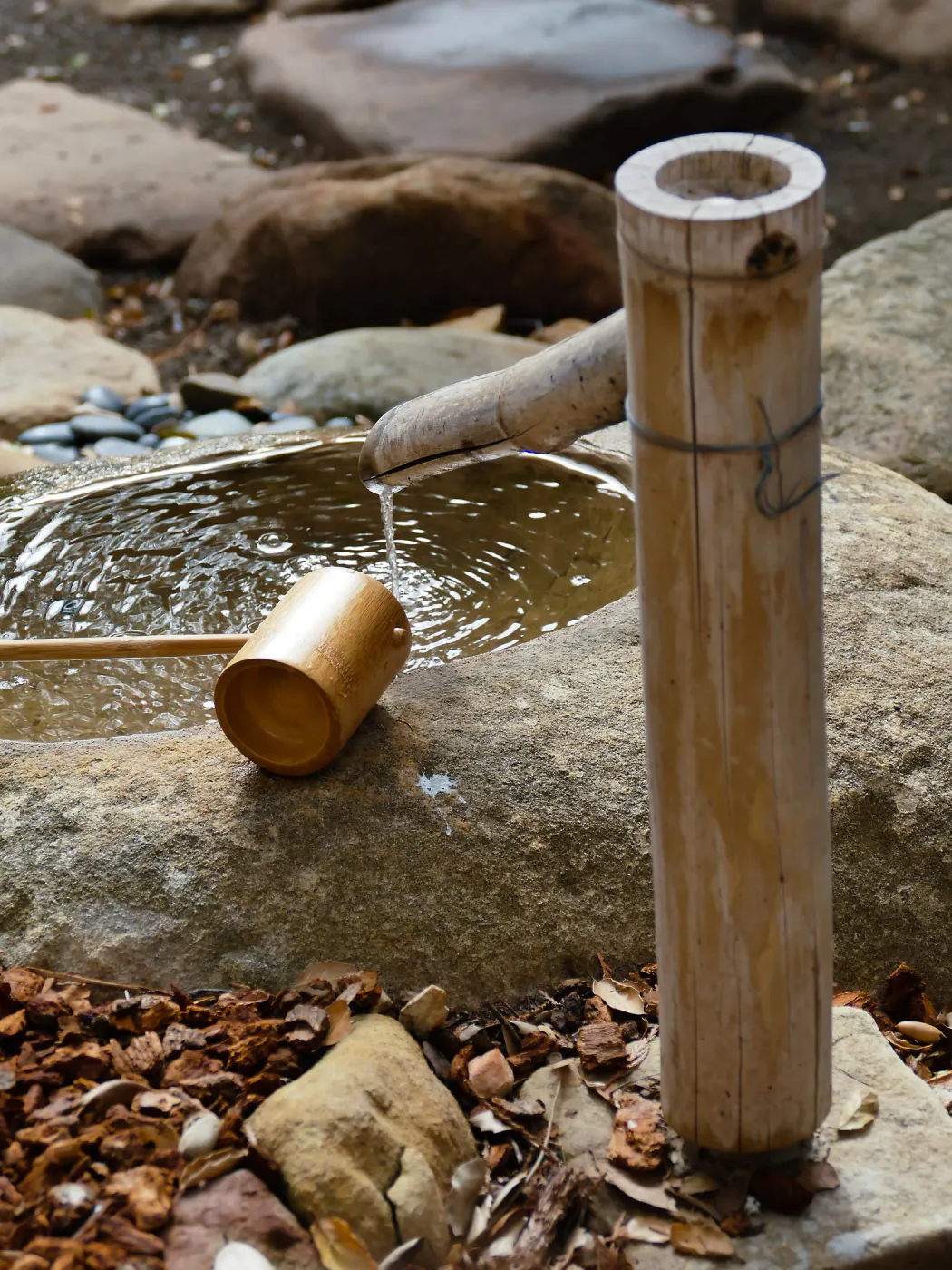 Tea Ceremony at ShinKanAn Teahouse