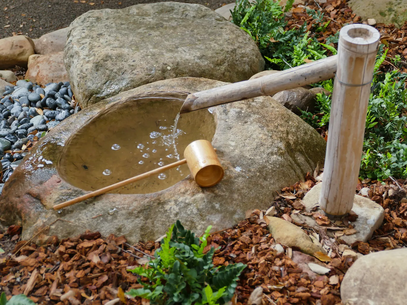 Tea Ceremony at ShinKanAn Teahouse