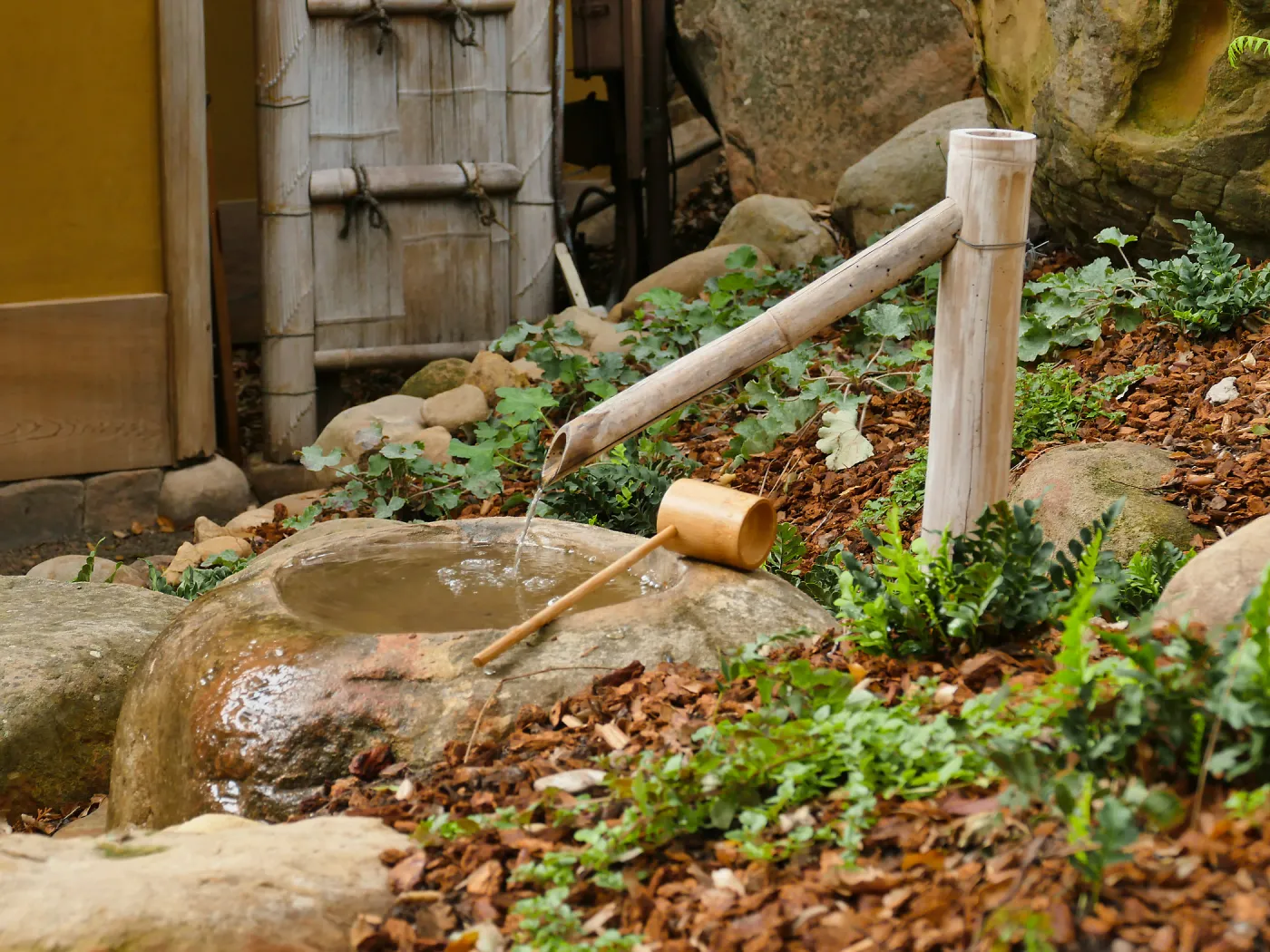 Tea Ceremony at ShinKanAn Teahouse