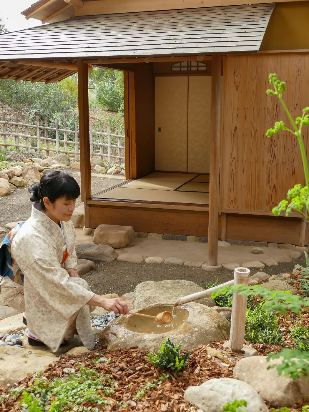 Tea Ceremony at ShinKanAn Teahouse