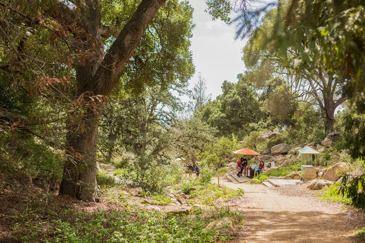 2018 Santa Barbara Beer Garden Event, Arroyo Section