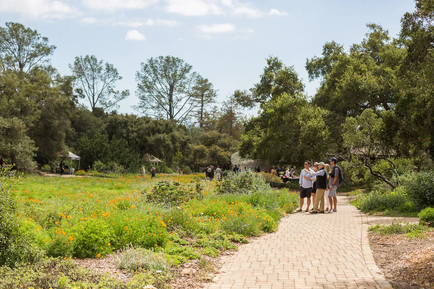 2018 Santa Barbara Beer Garden Event, Meadow