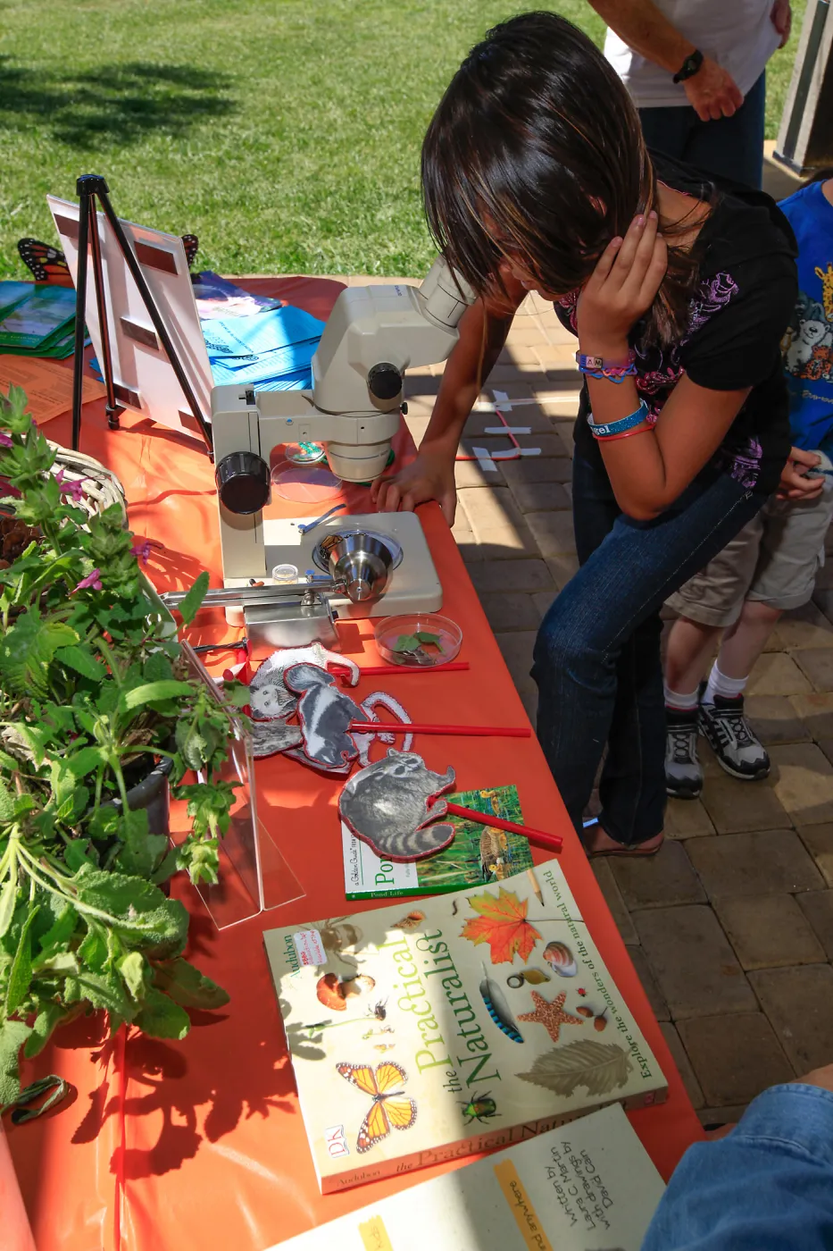 Science Day at the Zoo