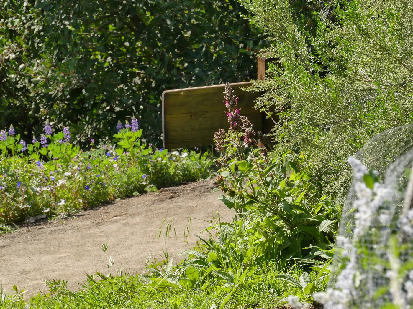 Wayfinding sign 25cb