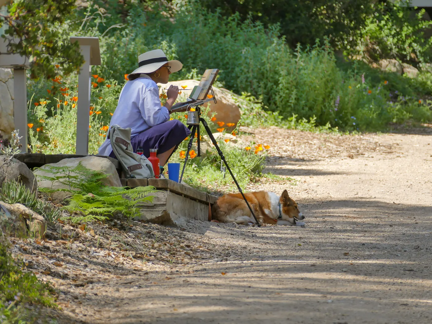 Artist painting in the Arroyo Section