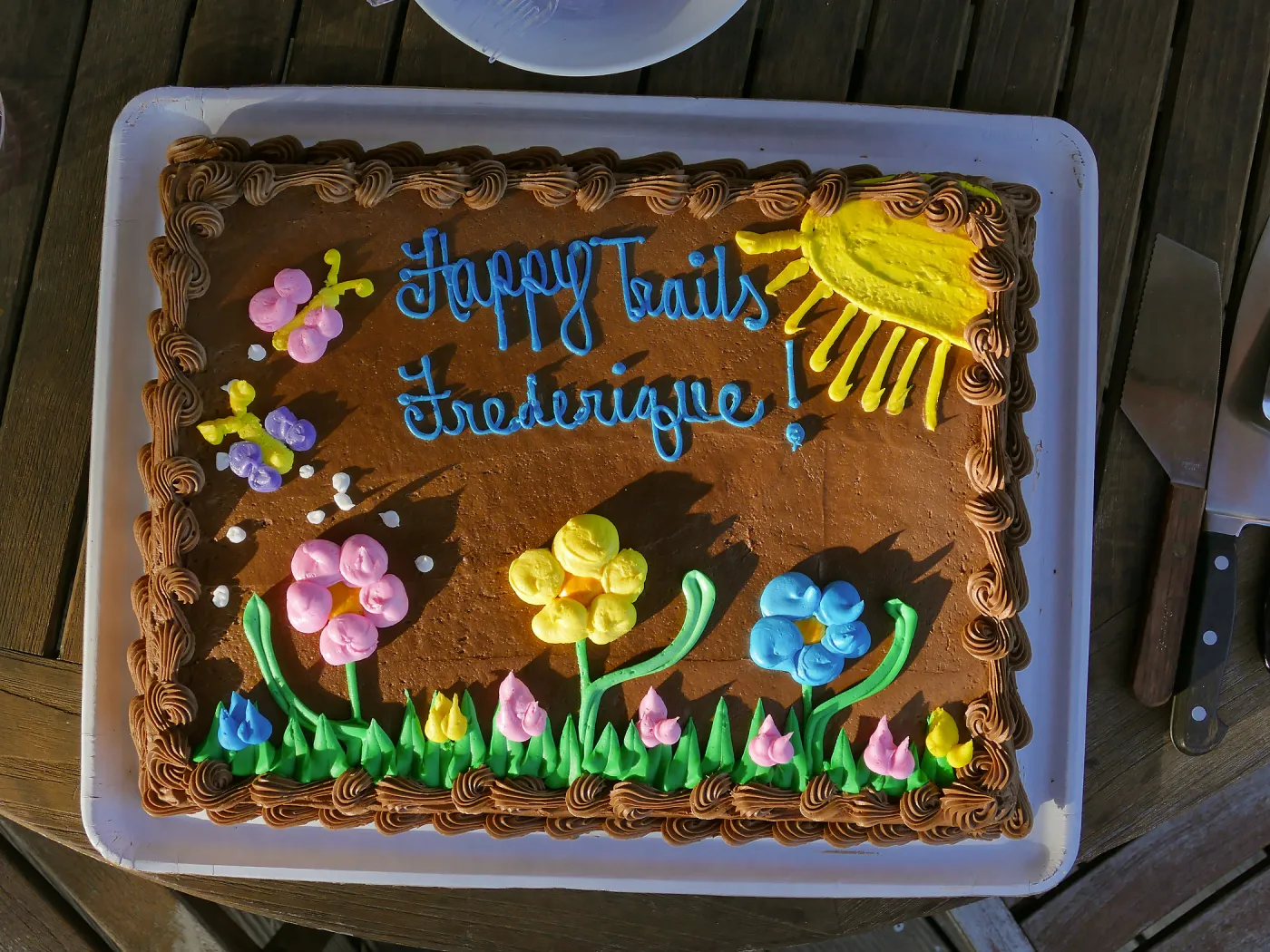 FrÃ©dÃ©rique Lavoipierre retirement party cake