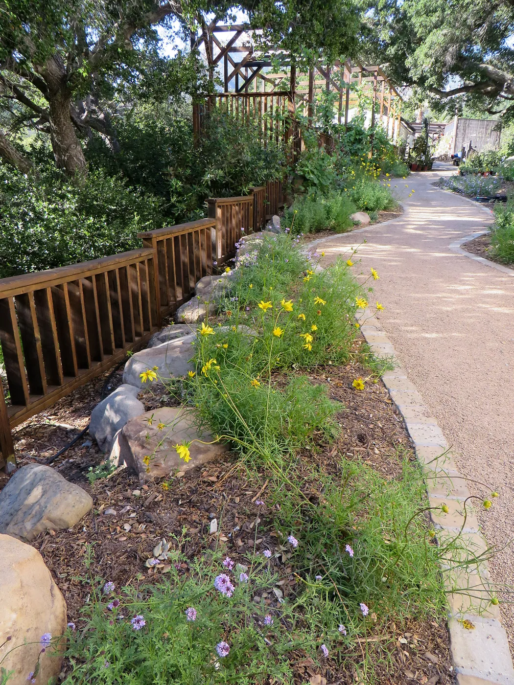 Old driveway at renovated Water Wise Home Garden