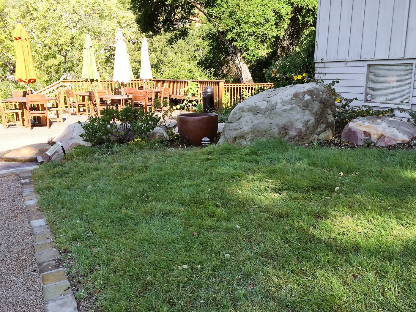 Water Wise Home Garden, blue grama lawn