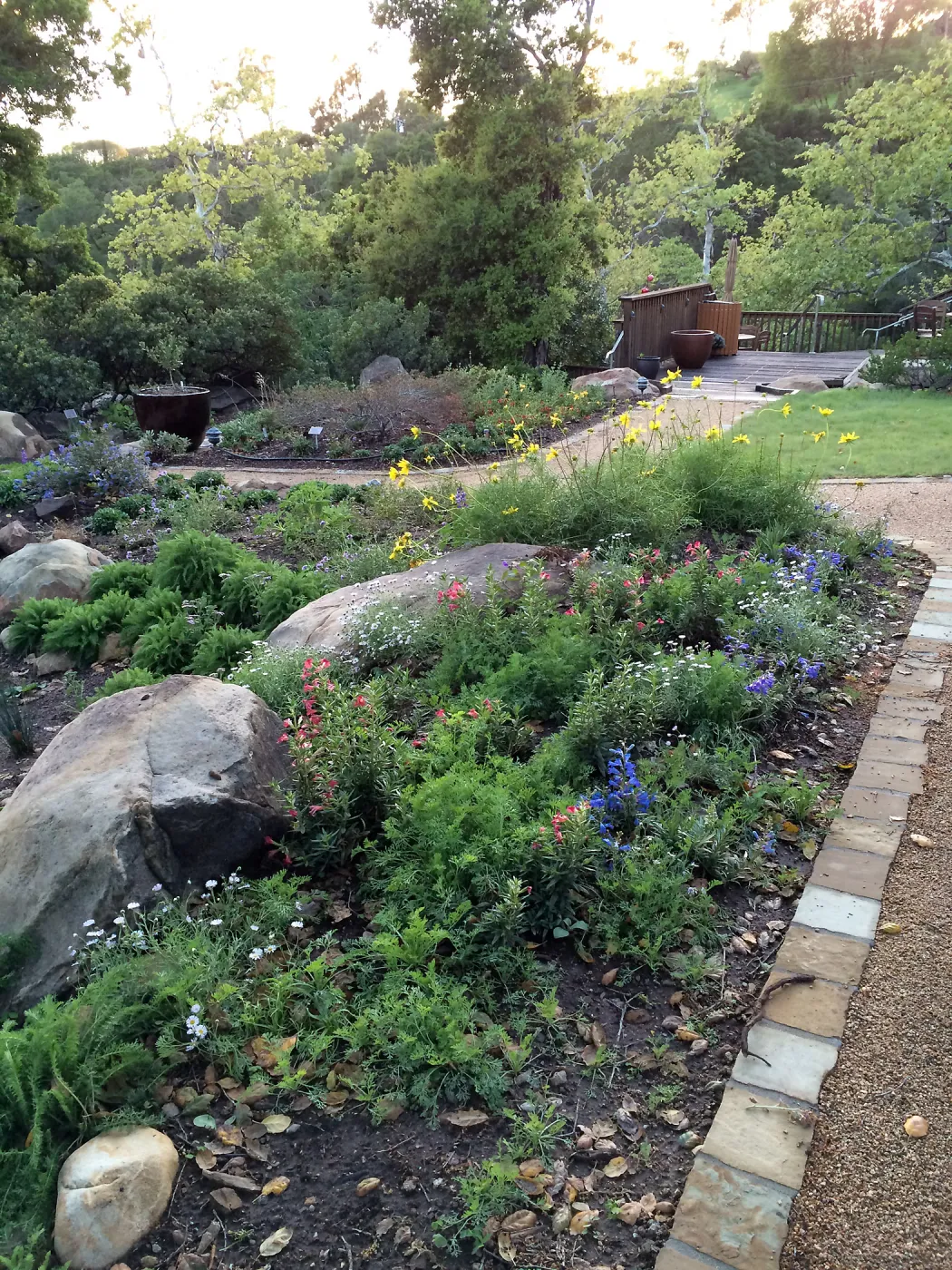 Water Wise Home Garden shortly after planting