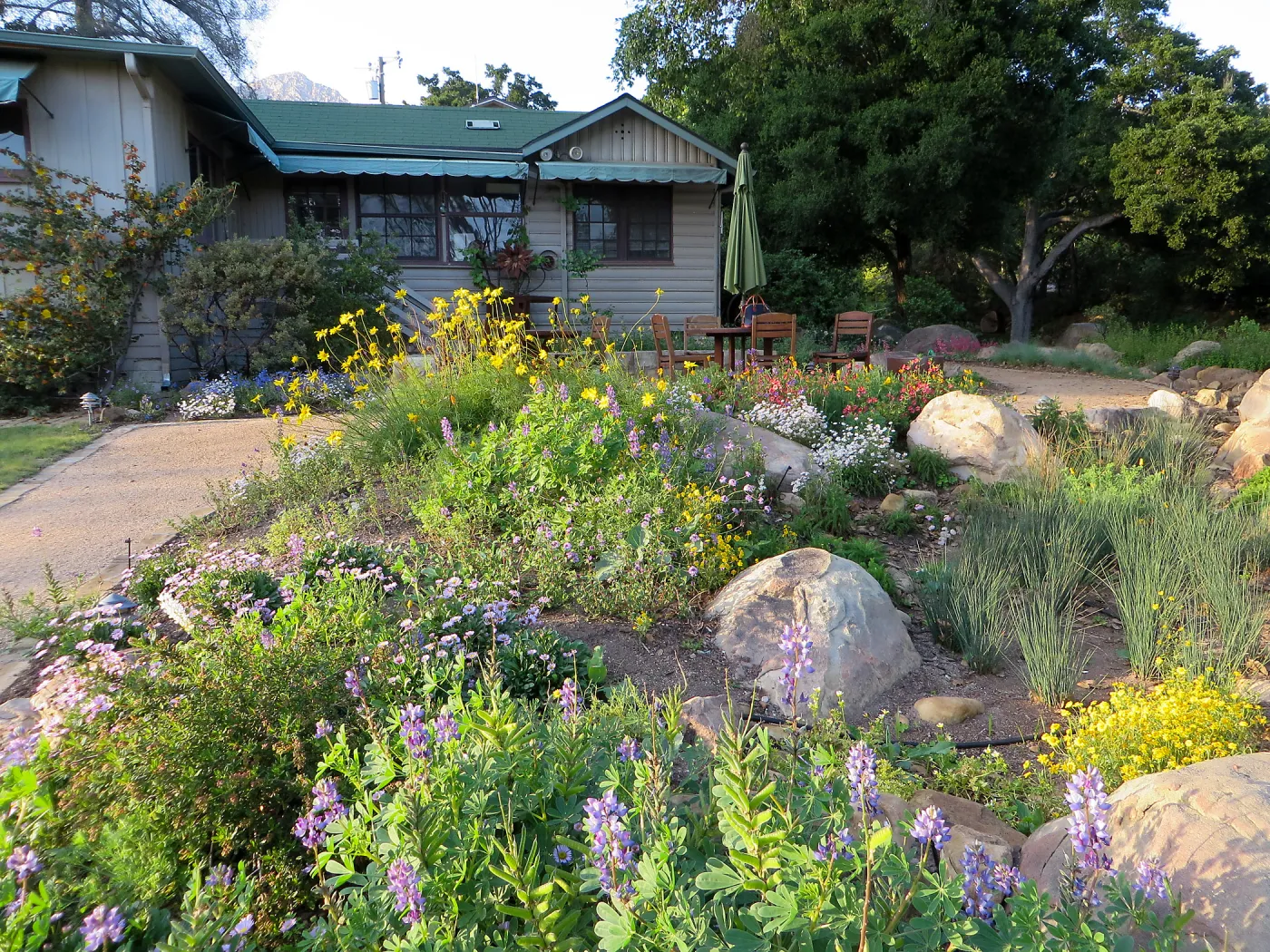 Water Wise Home Garden. Rain garden display