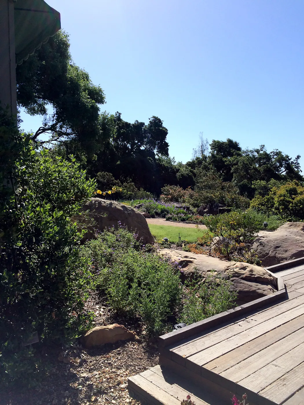  Water Wise Home Garden