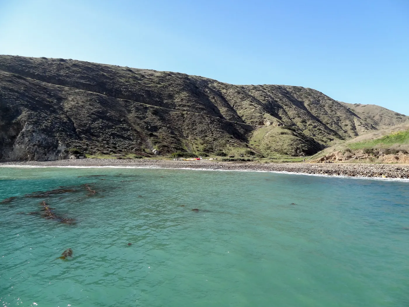 SBBG Staff field trip to Santa Cruz Island, 