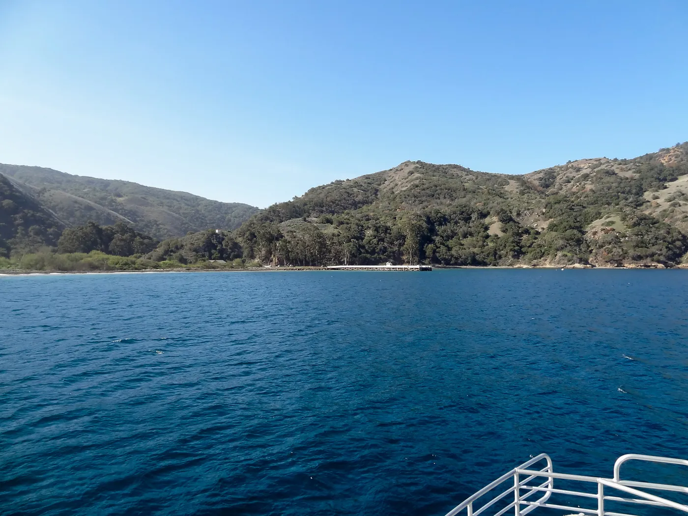 SBBG Staff field trip to Santa Cruz Island, Prisoners Harbor