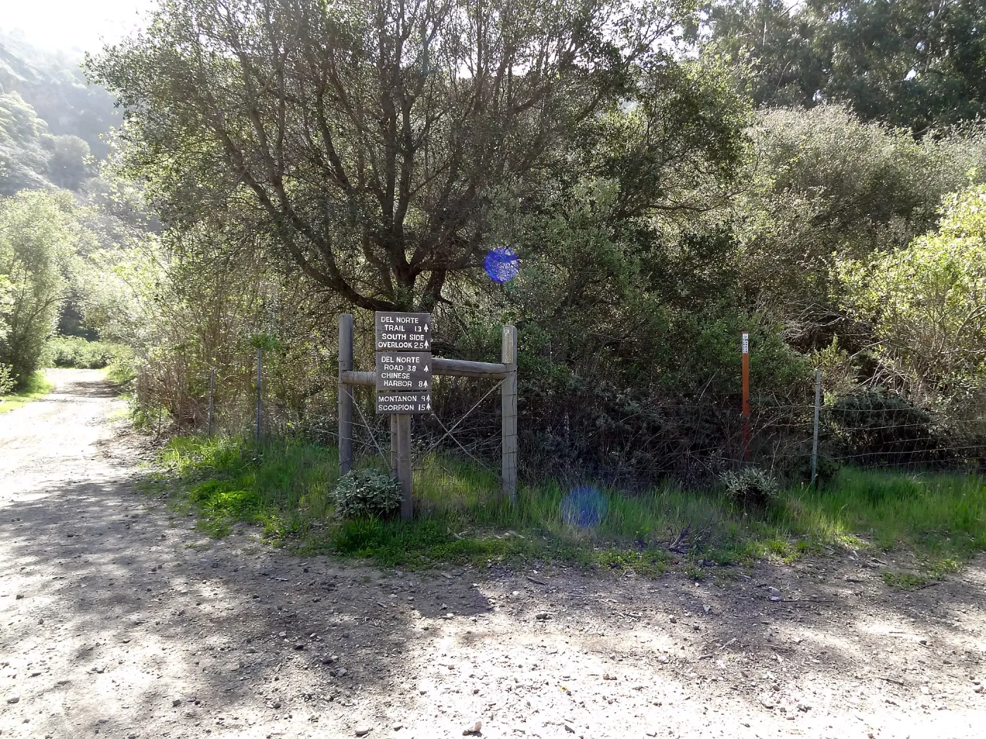 SBBG Staff field trip to Santa Cruz Island, 
